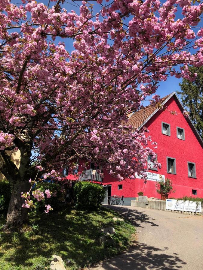 Pension Gruebel Lindau  Exterior photo